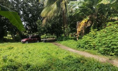 LOT FOR SALE IN DUMAGUETE CITY ID 14960