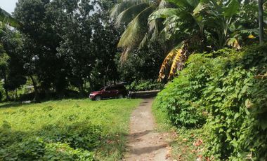 LOT FOR SALE IN DUMAGUETE CITY ID 14960