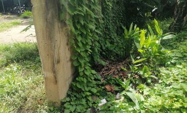 LOT FOR SALE IN DUMAGUETE CITY ID 14960