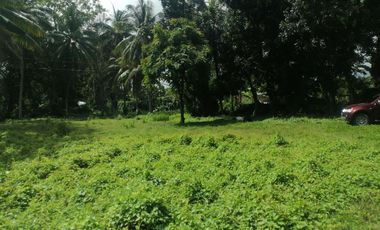 LOT FOR SALE IN DUMAGUETE CITY ID 14960