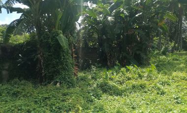 LOT FOR SALE IN DUMAGUETE CITY ID 14960