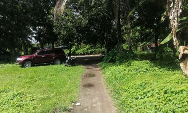 LOT FOR SALE IN DUMAGUETE CITY ID 14960