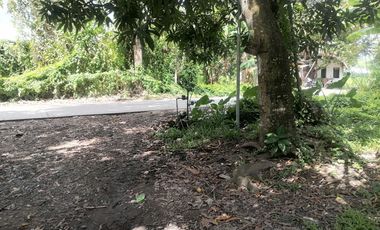 LOT FOR SALE IN DUMAGUETE CITY ID 14960