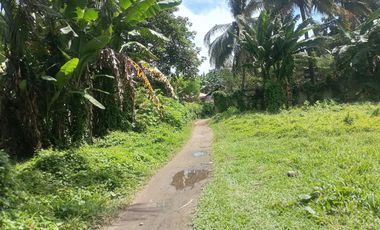 LOT FOR SALE IN DUMAGUETE CITY ID 14960