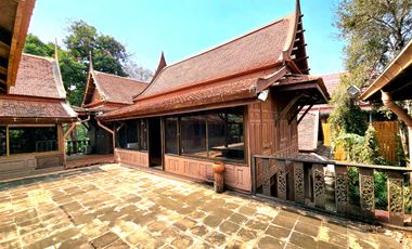 For rent: Traditional Thai-style house by the Chao Phraya River, Ayutthaya. Prime location, ideal for a restaurant,boutique hotel,or café.rent 110K