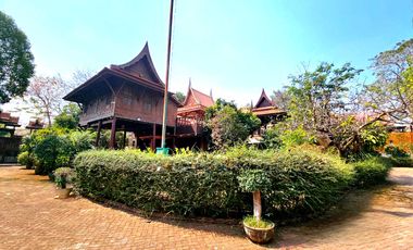 For rent: Traditional Thai-style house by the Chao Phraya River, Ayutthaya. Prime location, ideal for a restaurant,boutique hotel,or café.rent 110K