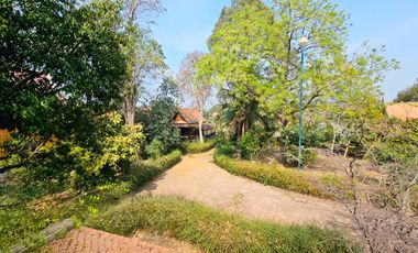 For rent: Traditional Thai-style house by the Chao Phraya River, Ayutthaya. Prime location, ideal for a restaurant,boutique hotel,or café.rent 110K