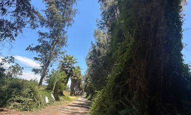 Venta De Parcela En Isla De Maipo