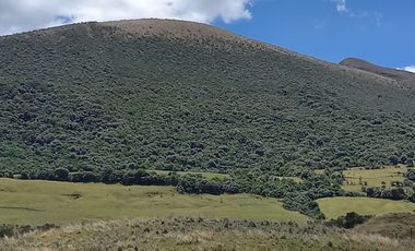 HERMOSA HACIENDA AGRICOLA Y GANADERA DE VENTA EN MACHACHI