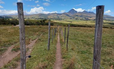 HERMOSA HACIENDA AGRICOLA Y GANADERA DE VENTA EN MACHACHI