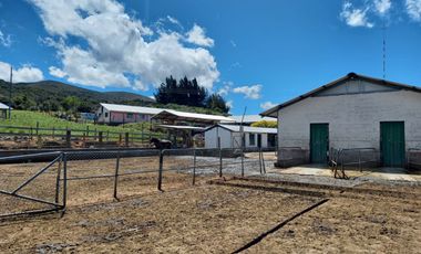 HERMOSA HACIENDA AGRICOLA Y GANADERA DE VENTA EN MACHACHI