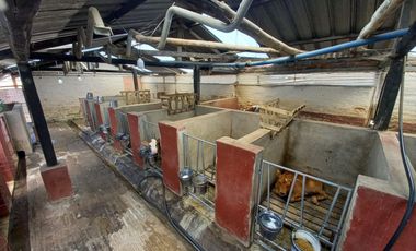 HERMOSA HACIENDA AGRICOLA Y GANADERA DE VENTA EN MACHACHI