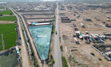 Terreno de 5,000 m² en Carretera Chiclayo - San José | Esquina y filo de pista