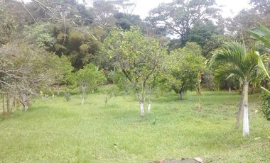 VENTA FINCA ANOLAIMA AMOBLADA