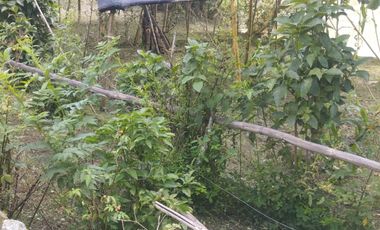 VENTA FINCA ANOLAIMA AMOBLADA