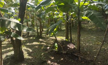 VENTA FINCA ANOLAIMA AMOBLADA