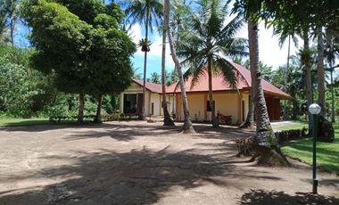 Beautiful 5416 sqm ( .54 hector ) ( 1.3 acres ) Property, House & Buildings