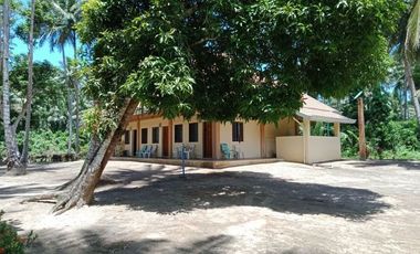 Beautiful 5416 sqm ( .54 hector ) ( 1.3 acres ) Property, House & Buildings