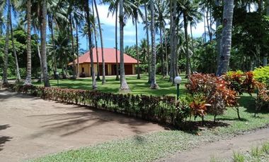 Beautiful 5416 sqm ( .54 hector ) ( 1.3 acres ) Property, House & Buildings