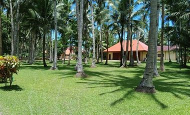 Beautiful 5416 sqm ( .54 hector ) ( 1.3 acres ) Property, House & Buildings