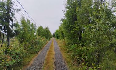 Hermosa Casa en Parcela a 10 mnts, de Villarrica (El Sauce)