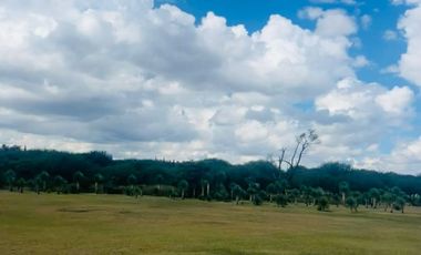 TERRENO EN SAN SEBASTIAN, METEPEC!