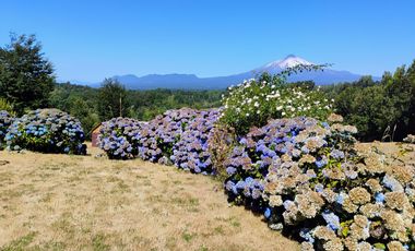 Hermosa Casa en Parcela a 10 mnts.de Vrca. (Los Guindos)
