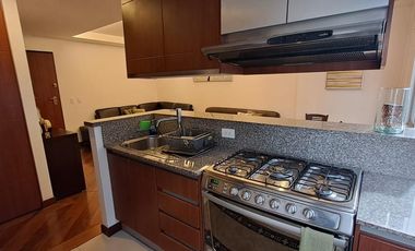 Suite Totalmente Amoblada en Zona de Alta Plusvalía de Quito República del Salvador
