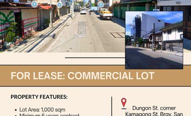 Lot for rent in Kamagong Street, San Antonio, District I, Makati, Southern Manila District