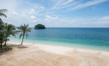 FOR SALE - Prime Beachfront Property in North Boracay, Malay, Aklan