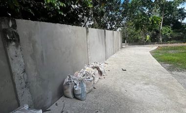 HOUSE AND LOT FOR SALE IN VALENCIA ID 14962