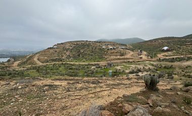 Terreno en Venta | Sector Valle de Elqui | La Serena