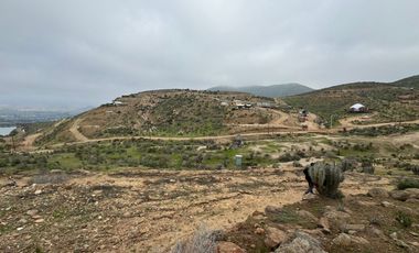 Terreno en Venta | Sector Valle de Elqui | La Serena