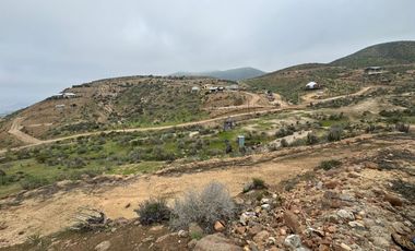 Terreno en Venta | Sector Valle de Elqui | La Serena