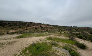 Terreno en Venta | Sector Valle de Elqui | La Serena