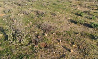 Terreno en Venta | Sector Valle de Elqui | La Serena