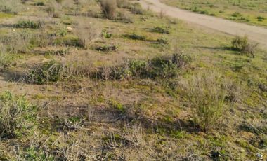 Terreno en Venta | Sector Valle de Elqui | La Serena