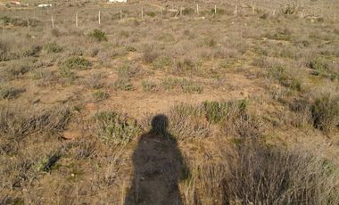 Terreno en Venta | Sector Valle de Elqui | La Serena