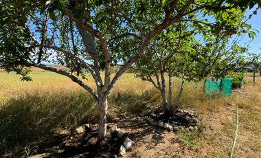 Parcela en Venta | Sector Tongoicillo | Coquimbo