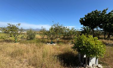 Parcela en Venta | Sector Tongoicillo | Coquimbo
