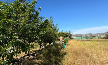 Parcela en Venta | Sector Tongoicillo | Coquimbo