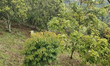 Hermosa finca en venta ubicada en Sasaima