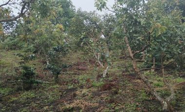 Hermosa finca en venta ubicada en Sasaima