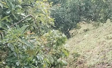 Hermosa finca en venta ubicada en Sasaima