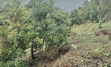 Hermosa finca en venta ubicada en Sasaima
