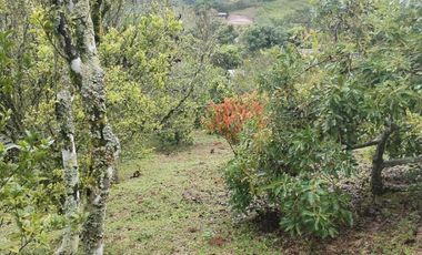 Hermosa finca en venta ubicada en Sasaima