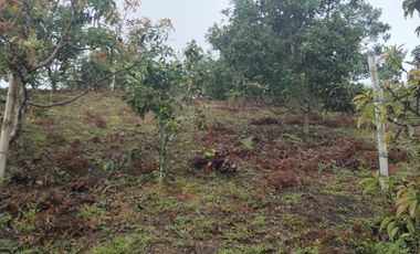Hermosa finca en venta ubicada en Sasaima