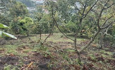 Hermosa finca en venta ubicada en Sasaima