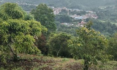 Hermosa finca en venta ubicada en Sasaima