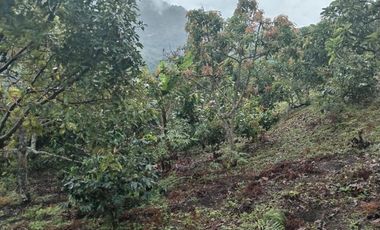Hermosa finca en venta ubicada en Sasaima